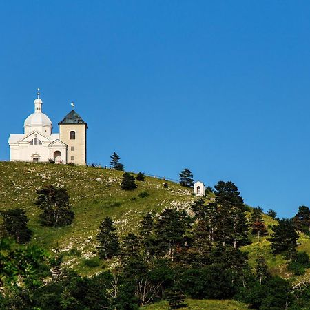 Penzion Terasa Cibulka Mikulov Exterior photo